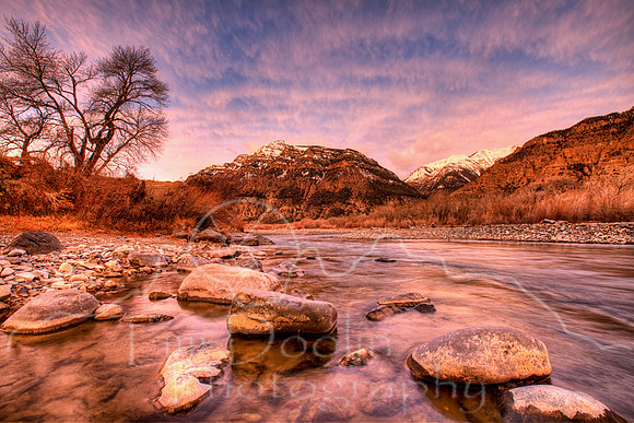 1S5A8286_87_88_89_90-Edit