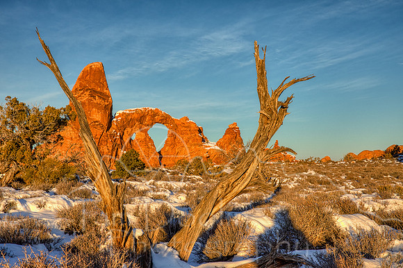 1S5A9847_48_49_50_51-Edit