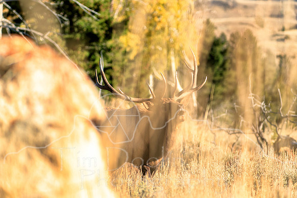 A83I4292-Edit