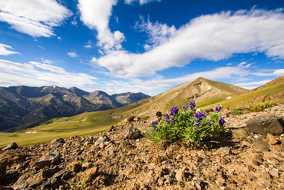 IMG_1046-Edit-2