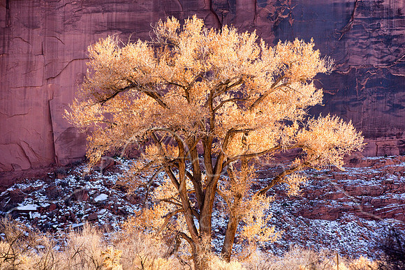 1N1B8681-Edit