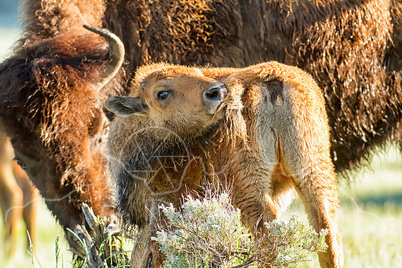 IMG_4435-Edit