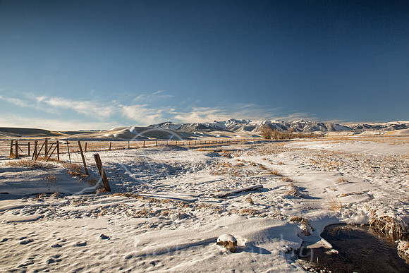 Pitchfork Ranch--November 2014 (2 of 8)