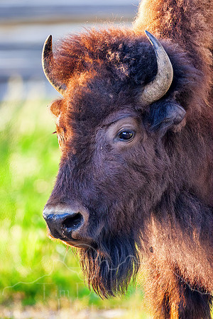 IMG_0485-Edit-Edit