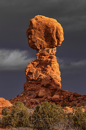 FN9A0904-Edit