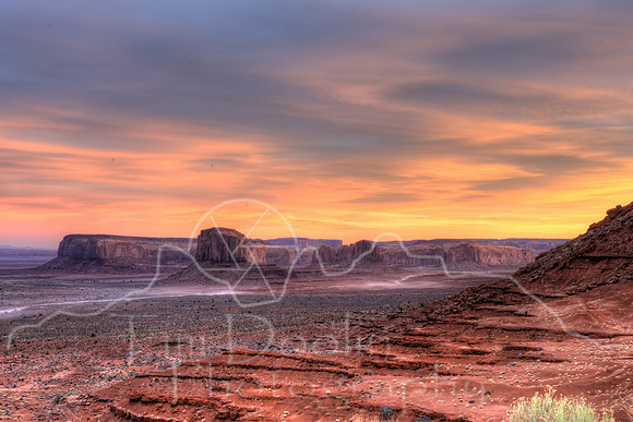 1S5A1834_5_6_7_8