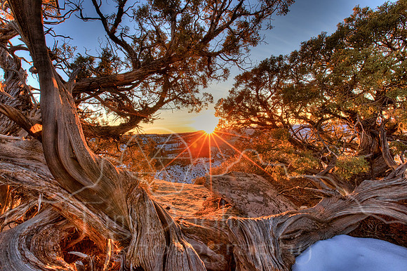 1S5A0603_4_5_6_7-Edit