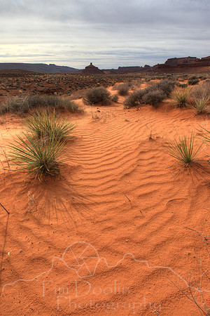 1S5A2397_398_399_400_401