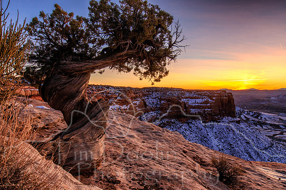 1S5A0729-Edit-Edit