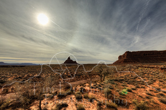 1S5A2462_3_4_5_6
