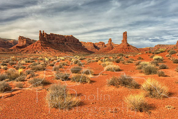 1S5A2507_08_09_10_11-Edit