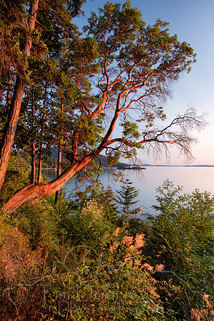 IMG_7970-Edit