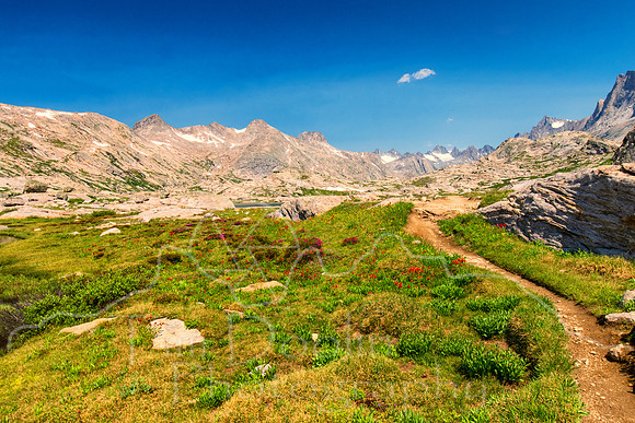 5D9A1329-Edit