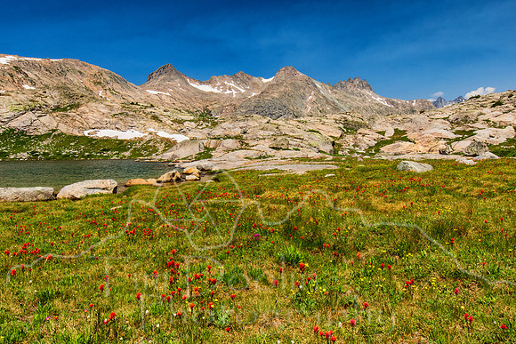 5D9A1374-Edit