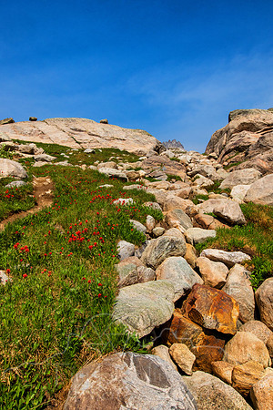 5D9A1389-Edit