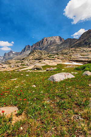 5D9A1489-Edit