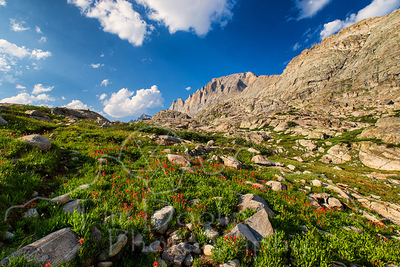 5D9A1630-Edit
