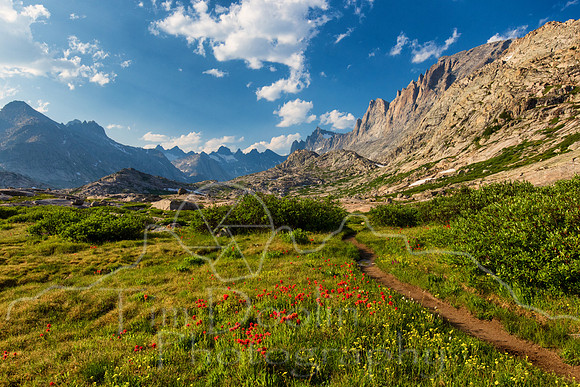 5D9A1695-Edit
