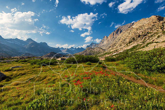 5D9A1705-Edit