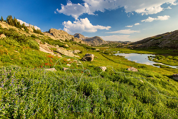 5D9A1765-Edit