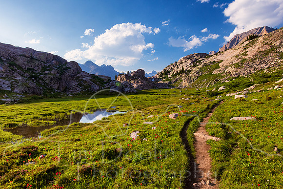 5D9A1780-Edit-2