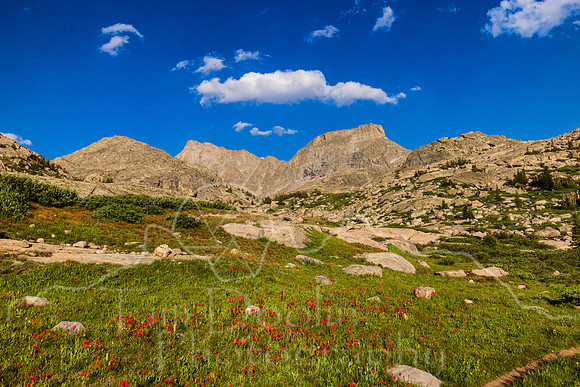 5D9A1802-Edit