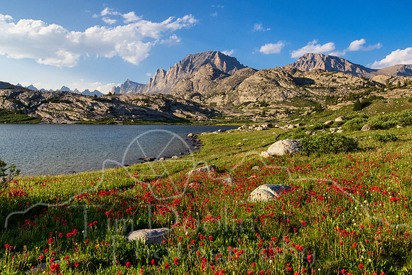 5D9A1912-Edit