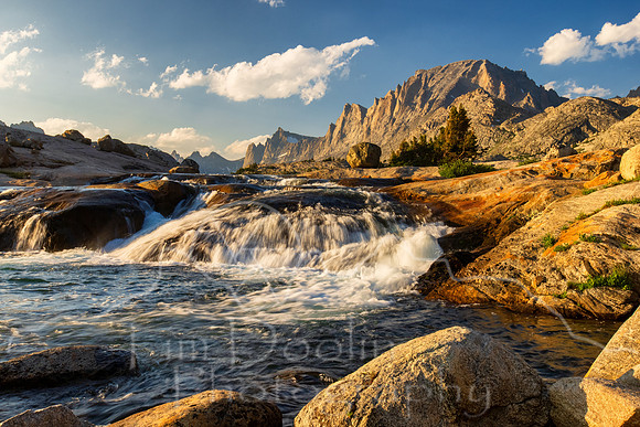 5D9A2022-Edit
