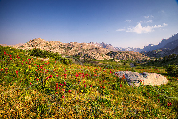 5D9A2277-Edit