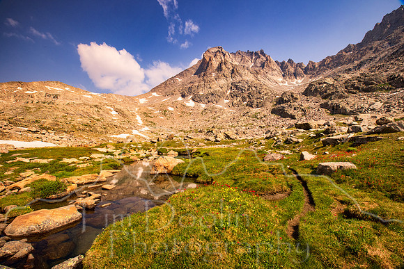 5D9A2537-Edit