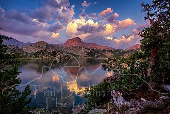 5D9A1002-Edit