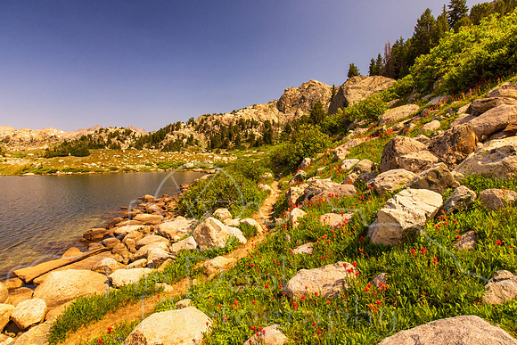 5D9A1133-Edit