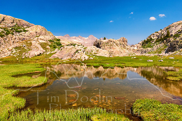 5D9A1269-Edit