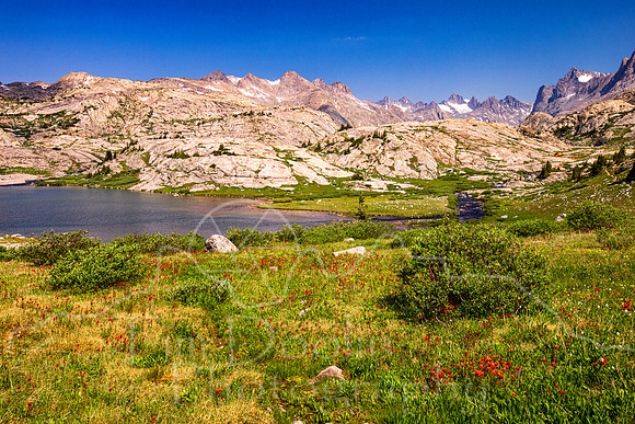5D9A1219-Edit