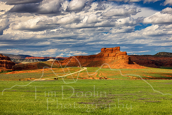 5D9A1117-Edit