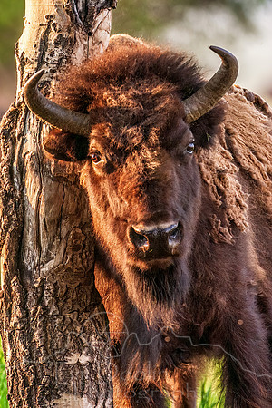 IMG_0492-Edit-Edit