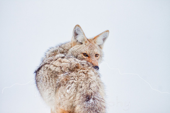 IMG_1913-Edit