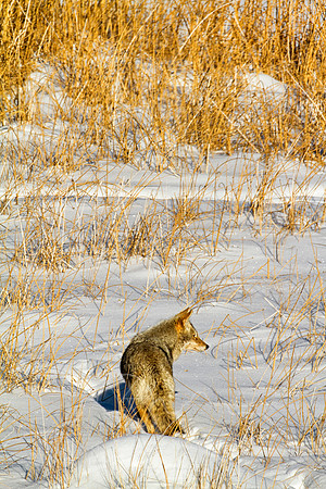 IMG_0068-Edit