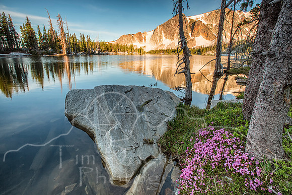Wyoming Trip--summer 2014--3