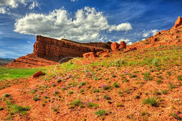 1S5A1717_18_19_20_21-Edit