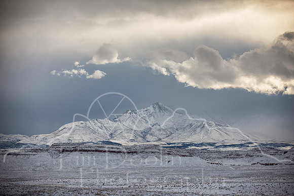 7Z1A0023-Edit