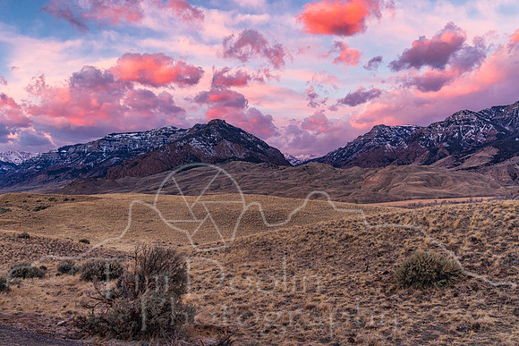 7Z1A7812-Edit