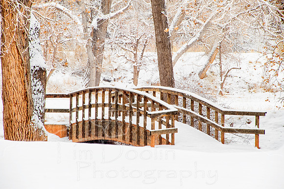 A83I3957-Edit