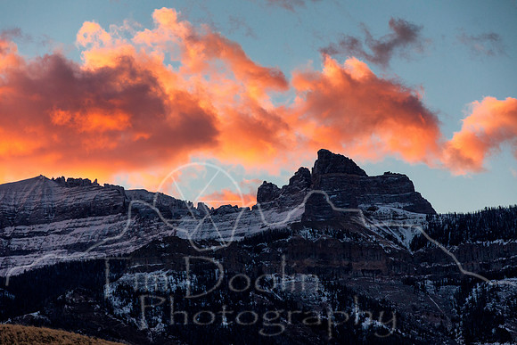 1S5A0316-Edit
