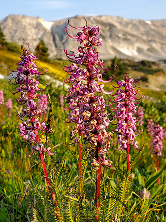 20200823_072521-Edit