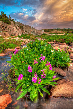 1S5A0125_6_7_8_9-Edit