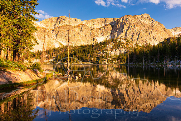 1S5A0571-Edit