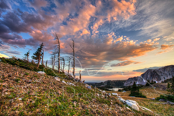 1S5A1207_08_09_10_11