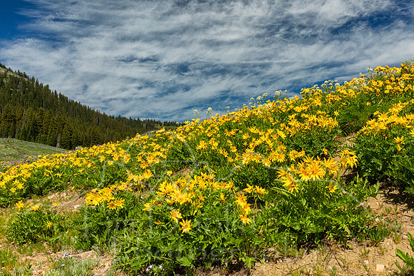 1S5A4402-Edit