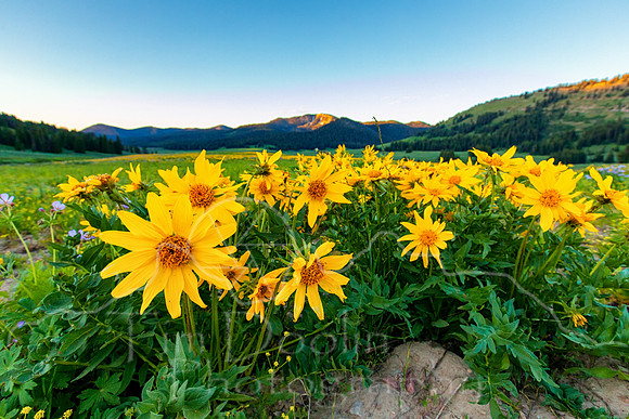 1S5A4973-Edit